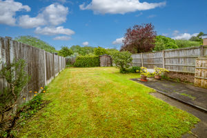 Photo 29- click for photo gallery